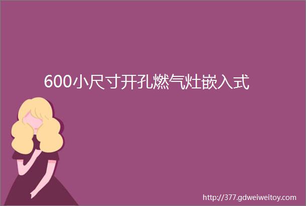 600小尺寸开孔燃气灶嵌入式