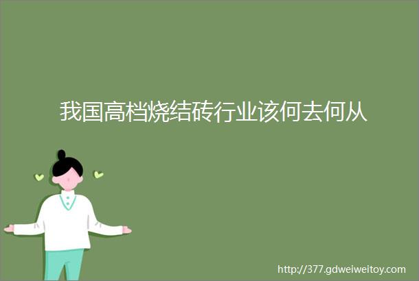 我国高档烧结砖行业该何去何从